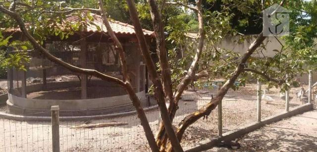 Sítio rural com 2 dormitórios à venda, 1500 m² por R$ 370.000 - Chácaras de Inoã (Inoã) - - Foto 7