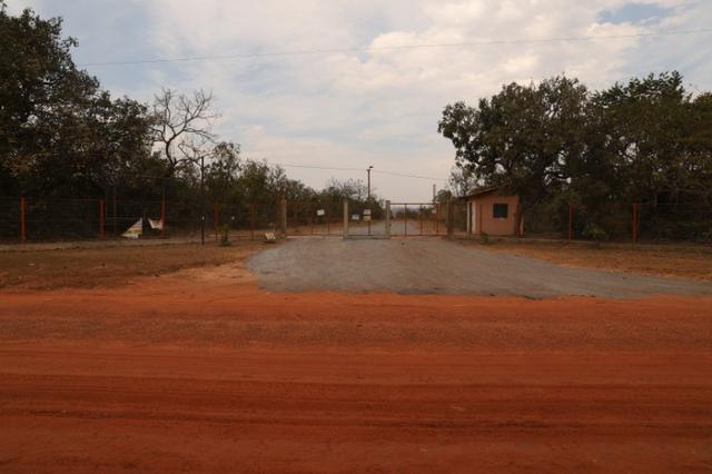 Terreno 5000 m2 na Guia - Foto 7