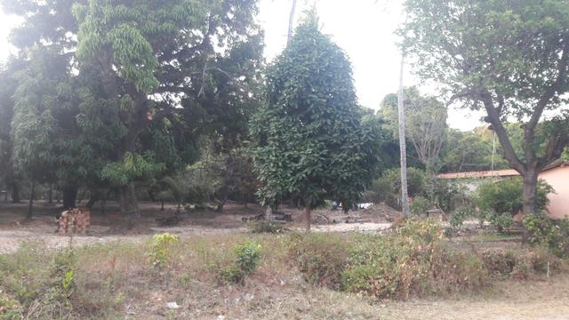 Vendo este lindo sítio em São José de Ribamar - Foto 3