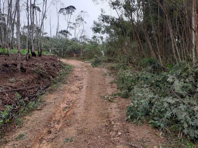 Mini chácara em Bocaiúva do sul 2.800mt - Foto 10