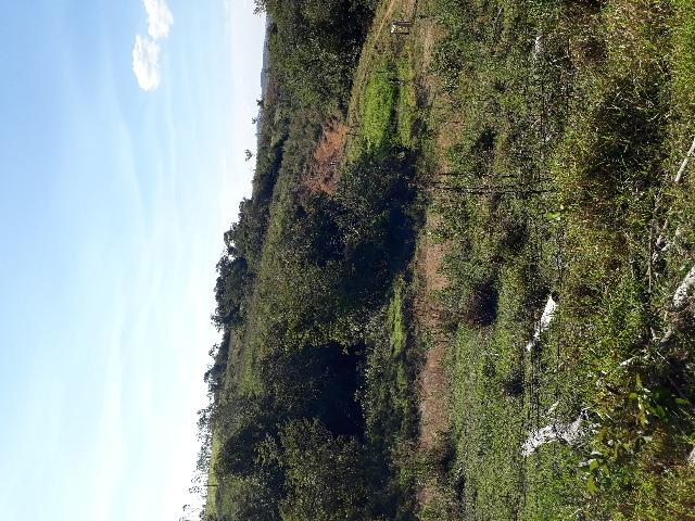Chacara - Foto 4