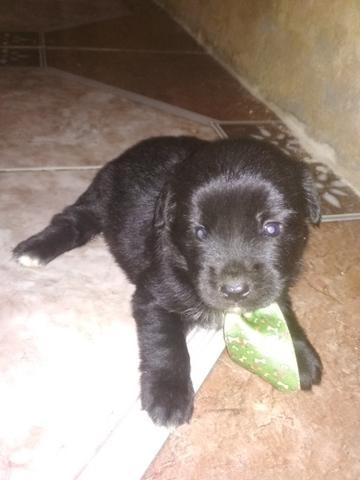 Cuida ta lindos valor 130 - Foto 4