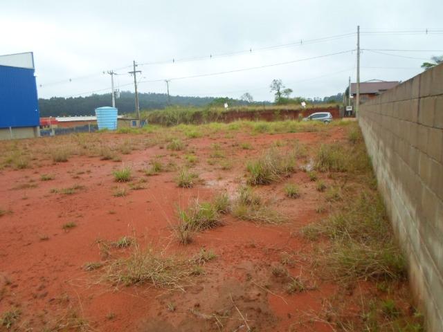 Terreno 1000m² em area industrial em São Leopoldo - Foto 4
