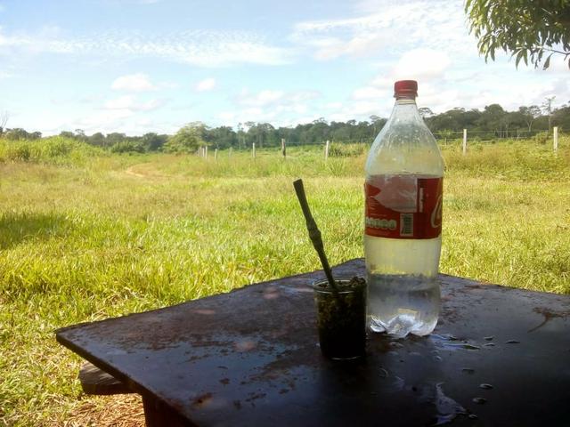 Vendo uma colônia com 100 Hectares de terra - Foto 5