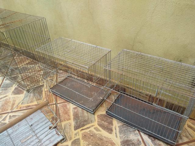 Gaiolas