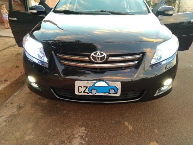 Corolla seg
