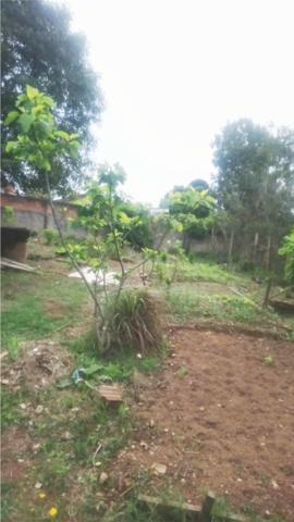 Chácara / Terreno, São José dos Pinhais quase na cidade a 20 minutos de Curitiba 295.000 - Foto 13
