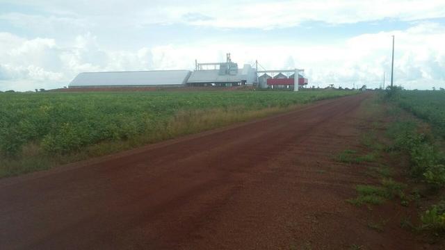 Fazenda de 16.250 Alqueires Paulista, Na Região de Confresa MT - Foto 15
