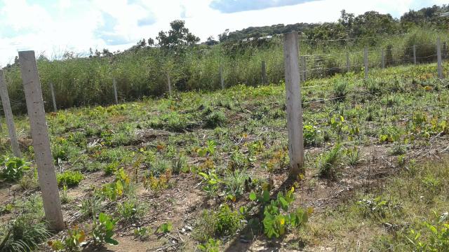 Lote manso (condomínio Paraíso manso - Foto 8