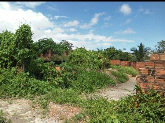 Para Investir! Terreno no Parque Araçagi a 50m da Principal Próximo Palazzo Bufet - Foto 3