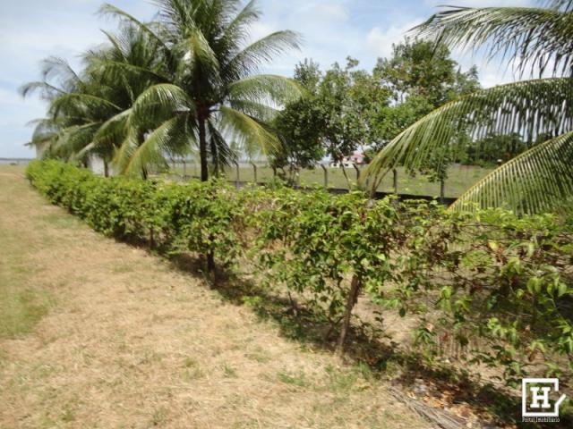 Terreno à venda - mosqueiro (zona de expansão) - Foto 3