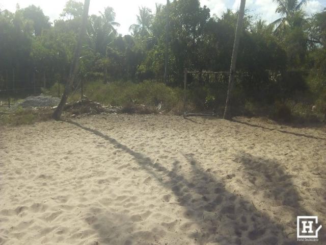Terreno à venda - robalo (zona de expansão) - Foto 3