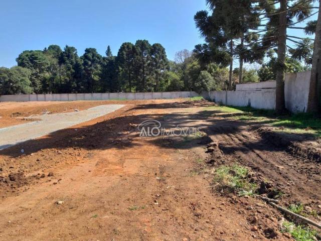 Terreno à venda, 127 m² por r$ 179.089,10 - pinheirinho - curitiba/pr - Foto 19