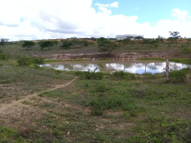 Excelente área de terra às margens da BR 116, com 614.196m - Foto 19