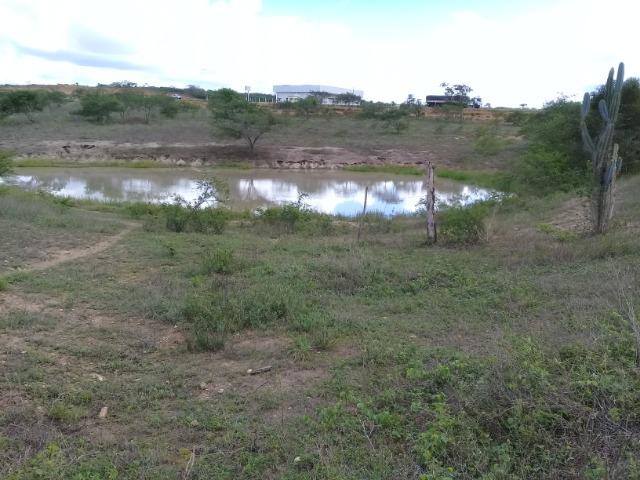 Excelente área de terra às margens da BR 116, com 614.196m - Foto 14