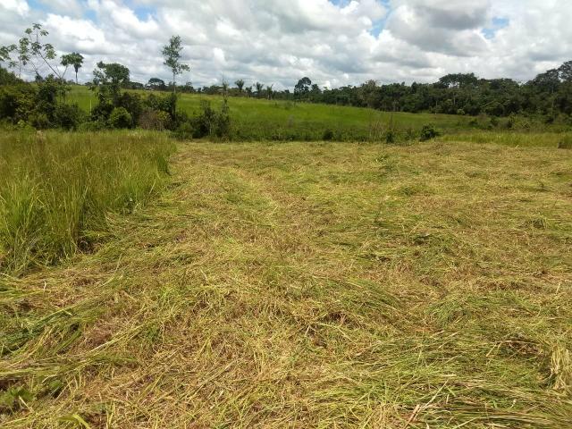 Oferta de Terrenos bem localizado - Foto 2