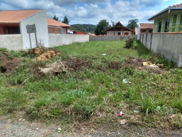 Terreno em tijucas do sul - Foto 4