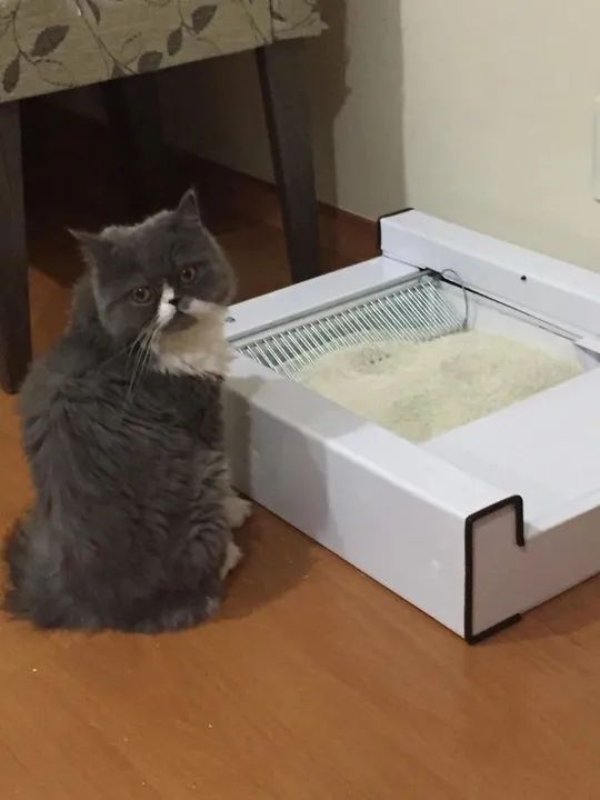 Caixa de areia automática limpeza para gatos  - Foto 3