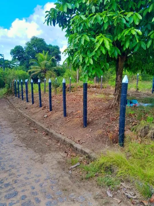 Madeira Plástica não apodrece  - Foto 4