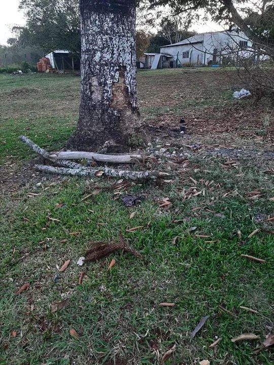 Chácara ao lado do Centro de Eventos  - Foto 4