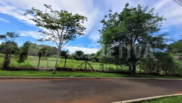 Excelente lote a venda no Condomínio de Chácaras Morada do Sol em Uberlândia - Foto 4