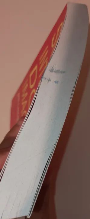 Livro - Somos Mais Interessantes do Que Imaginamos - Volume 1 - Foto 6