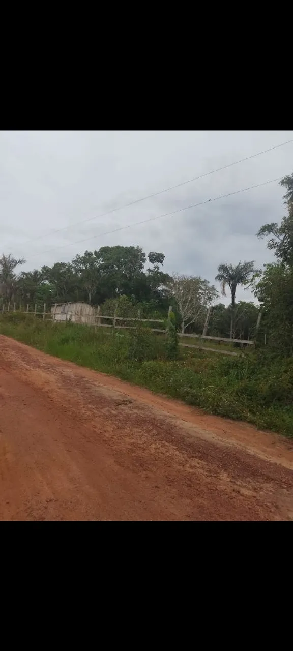 Vendo esse terreno no interior de Parintins