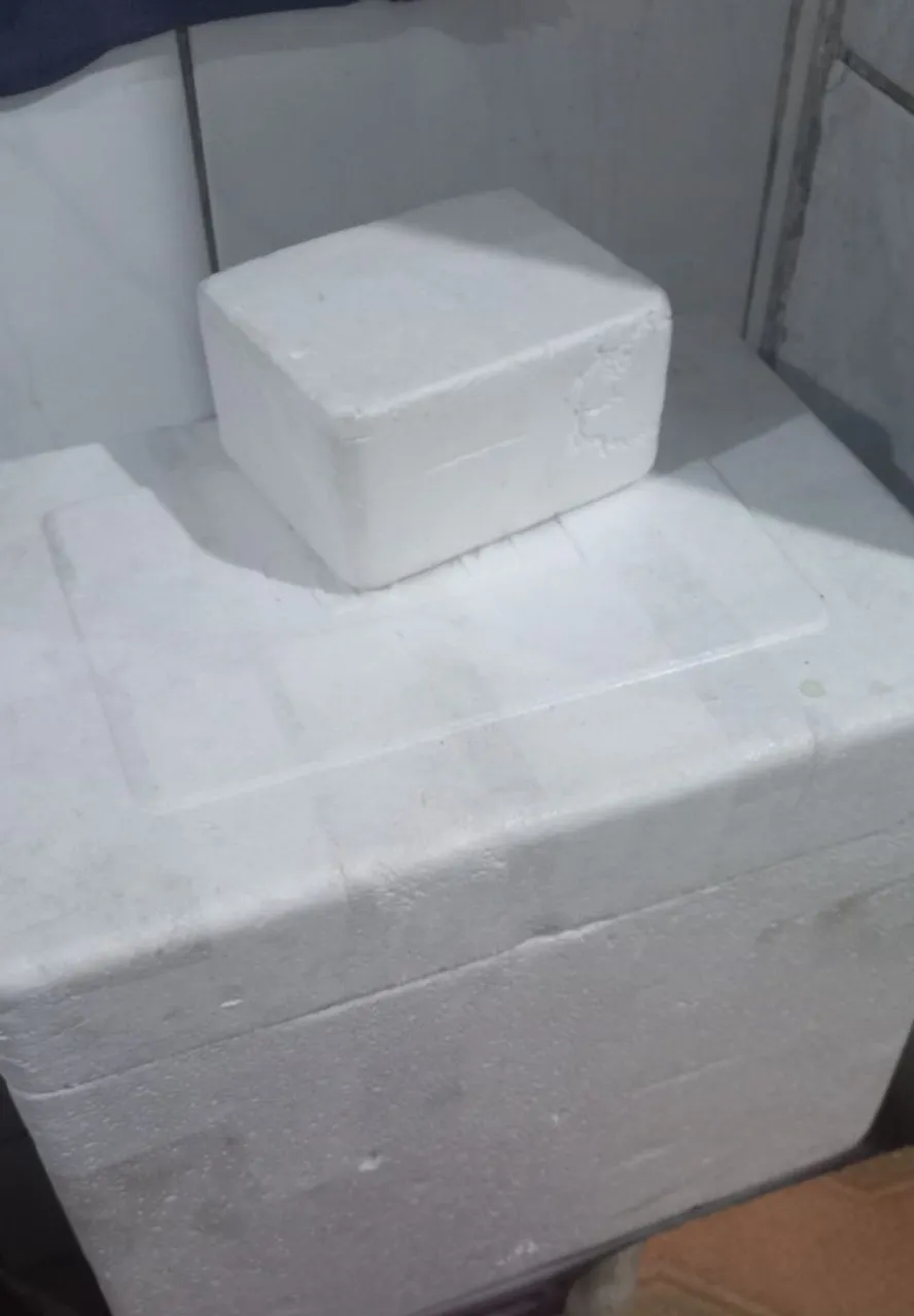 Caixa térmica de isopor