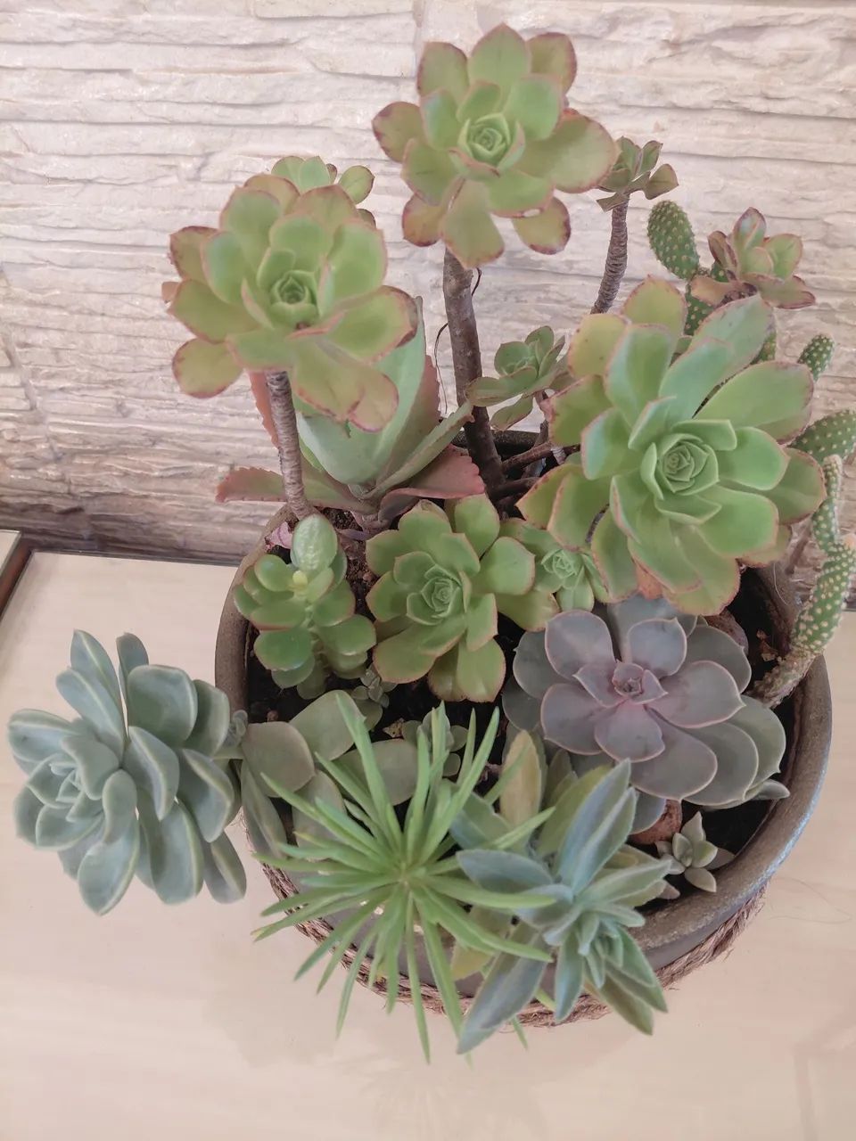 Vaso decorativo  - Foto 4