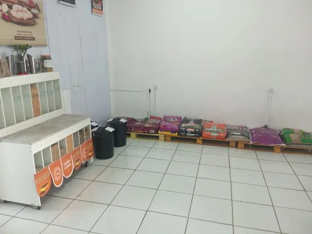 Aviário Completo! Tudo para você abrir seu negócio. - Foto 2