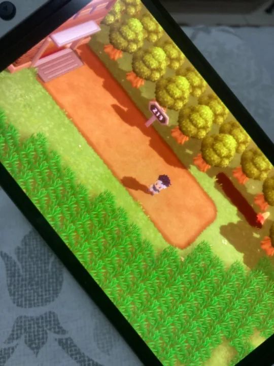 Pokemon Brilliant Diamond Nintendo Switch - Foto 4