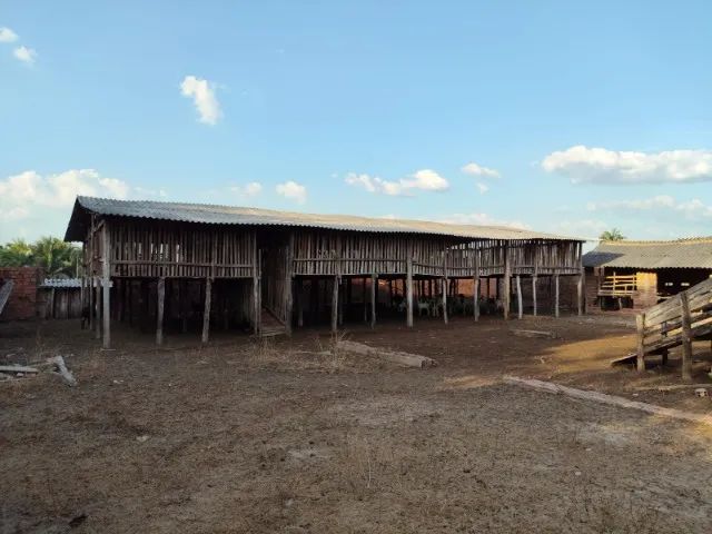 Fazenda em Pirapema do Maranhão - Foto 2