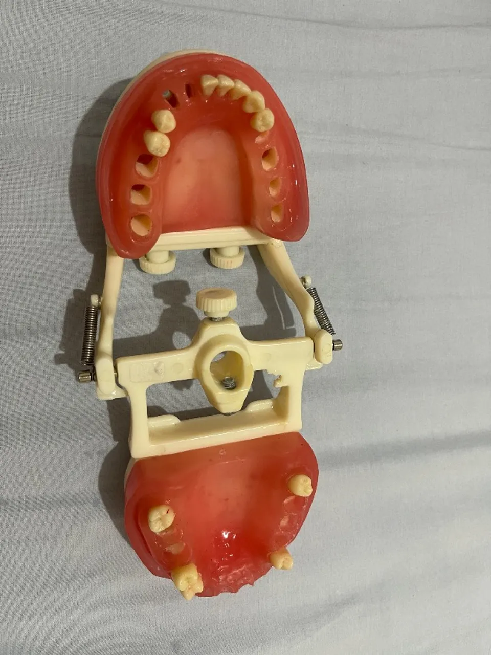 Manequim odontológico dentistica top