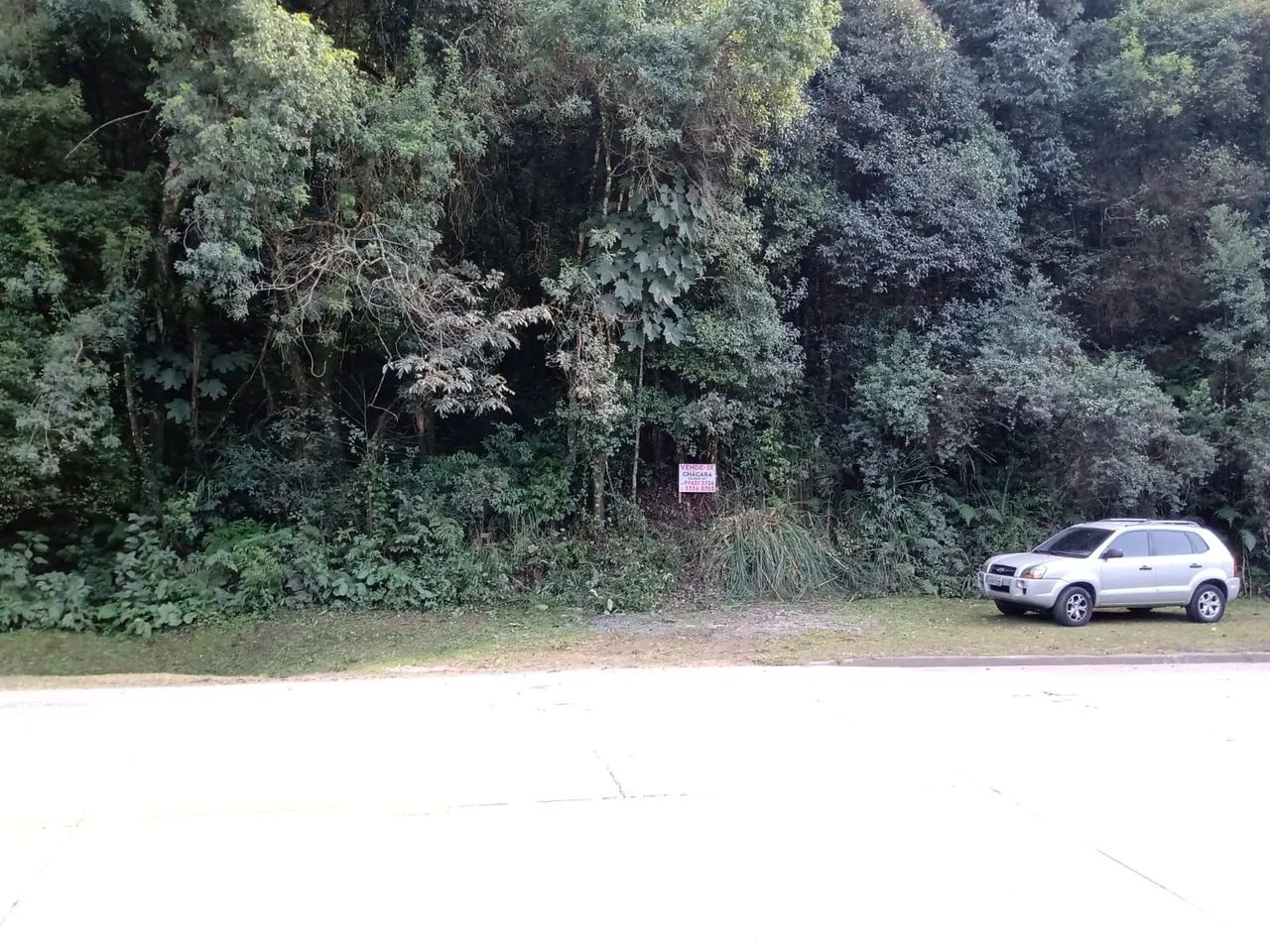 Chácara em Campo Largo - 20.000 m² - Foto 3