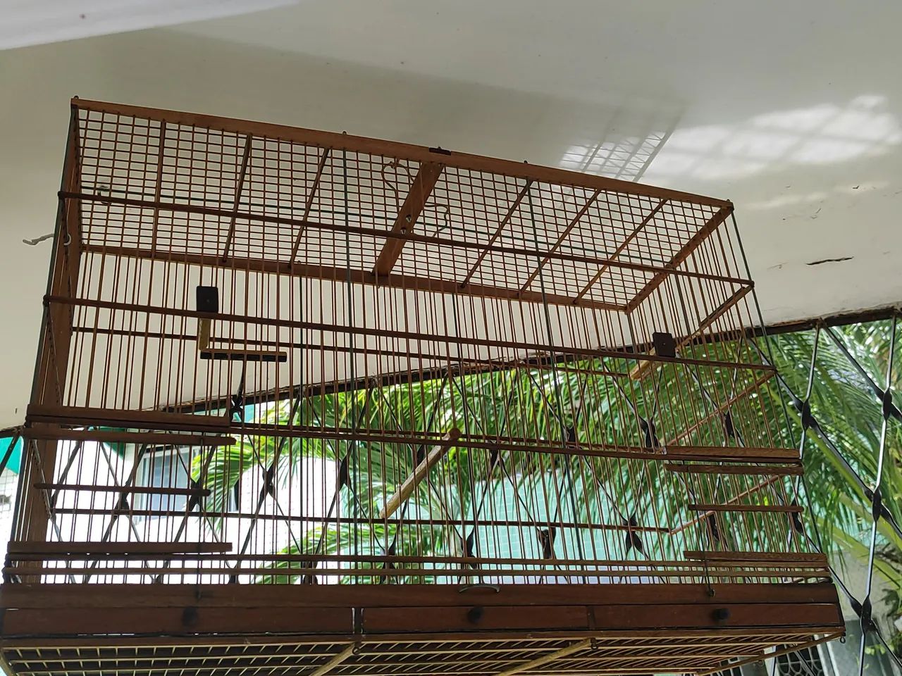 Gaiola Curió  - Foto 2