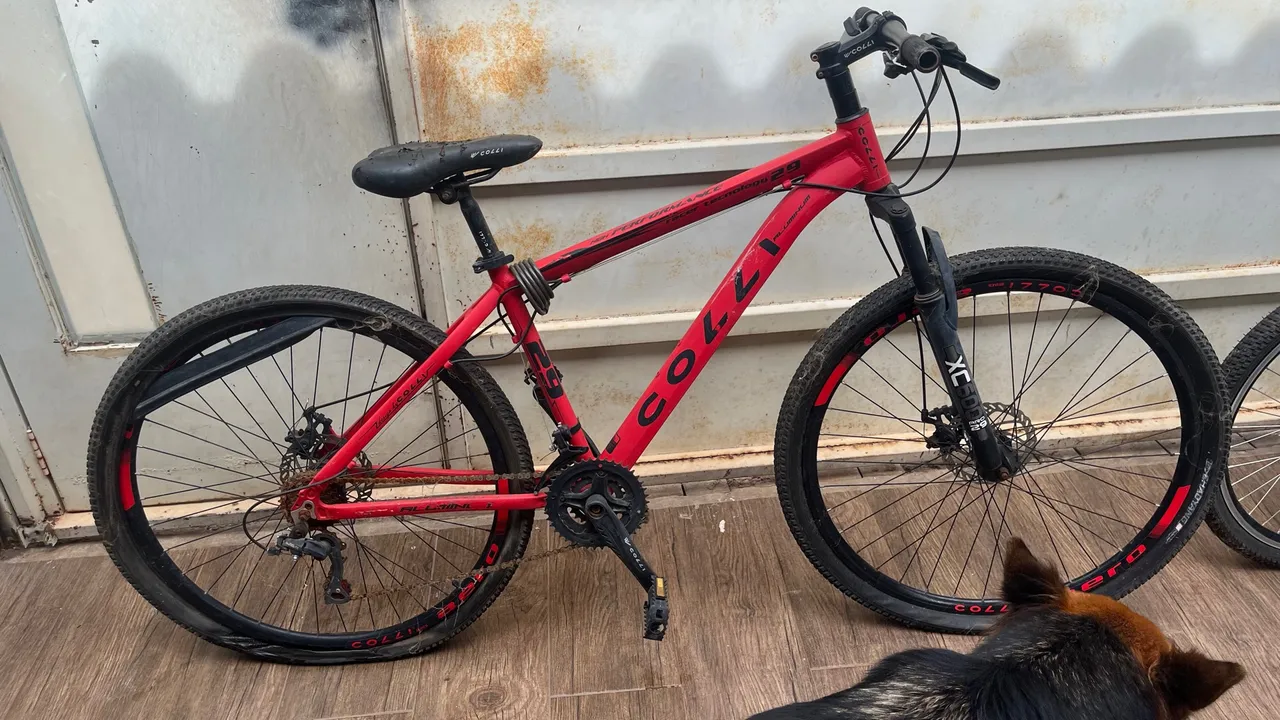 Bicicleta aro 29