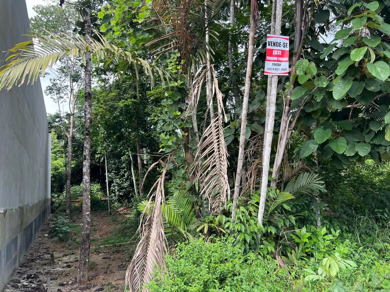 TERRENO 10 X 40 - TARUMÃ  - Foto 7