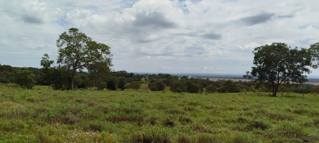 Fazenda entre Palmas to e Barrolândia to - Foto 2