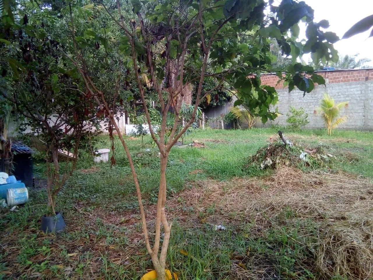 Foto - Cabo de Santo Agostinho - Enseada dos Corais