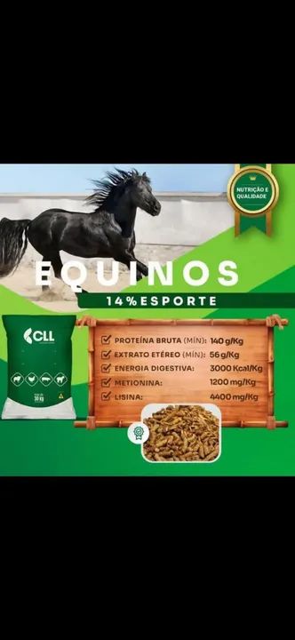 Ração de qualidade, preço especial.  - Foto 2