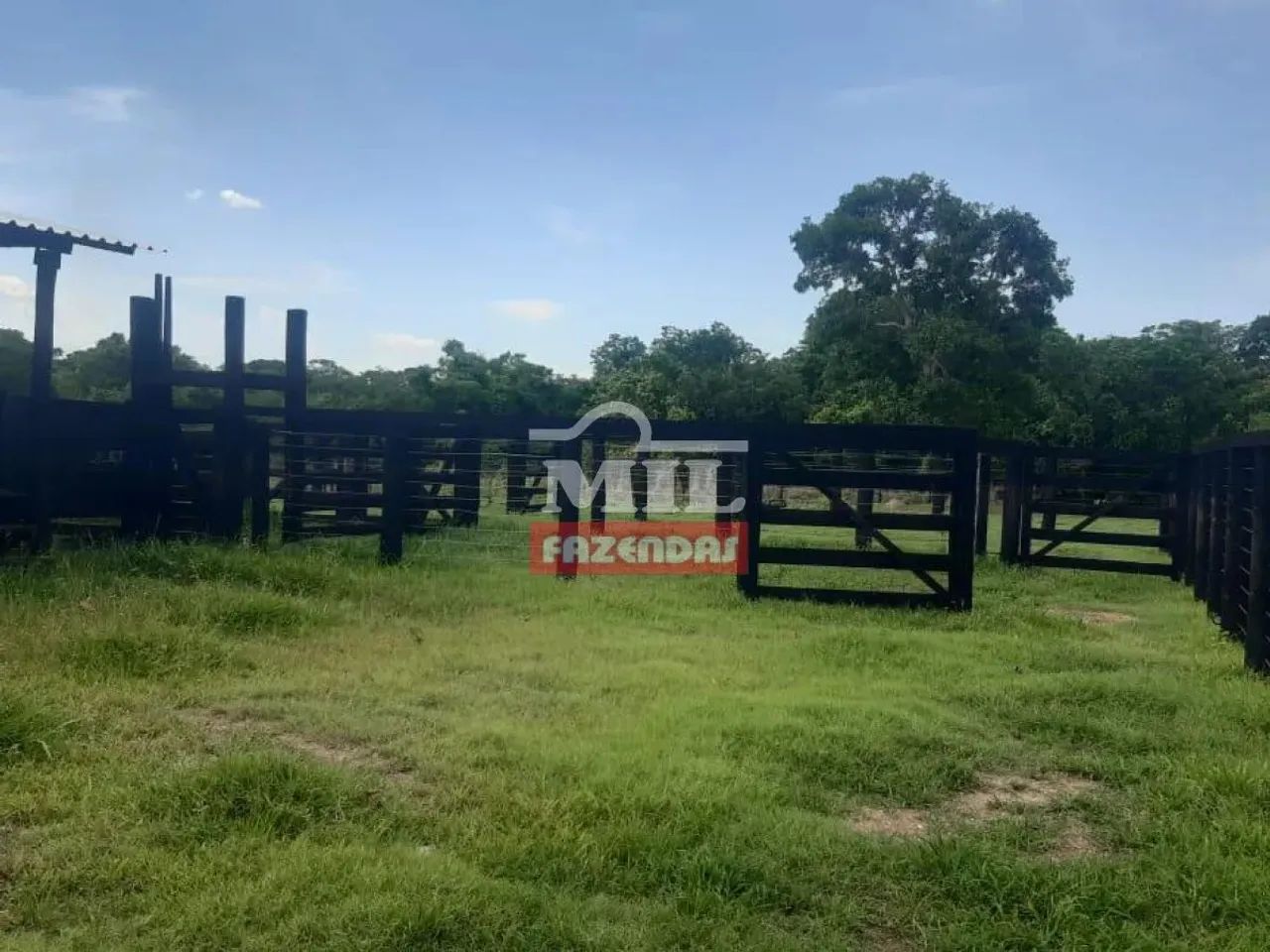 Fazenda 100 alqueires (484 hectares) Morzalandia -  GO