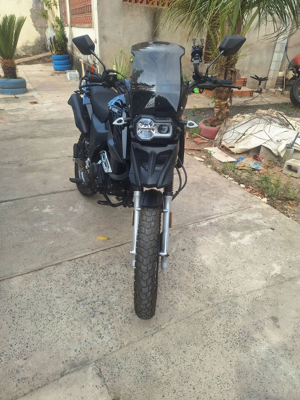 Shi175 2025 