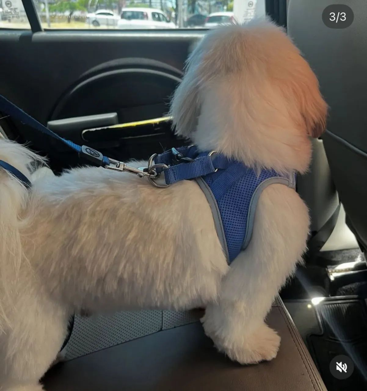 Serviço doméstico - Foto 3