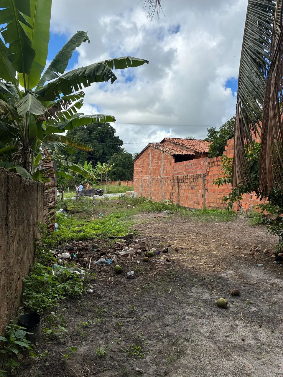 Terreno S ão José japaratuba  - Foto 2