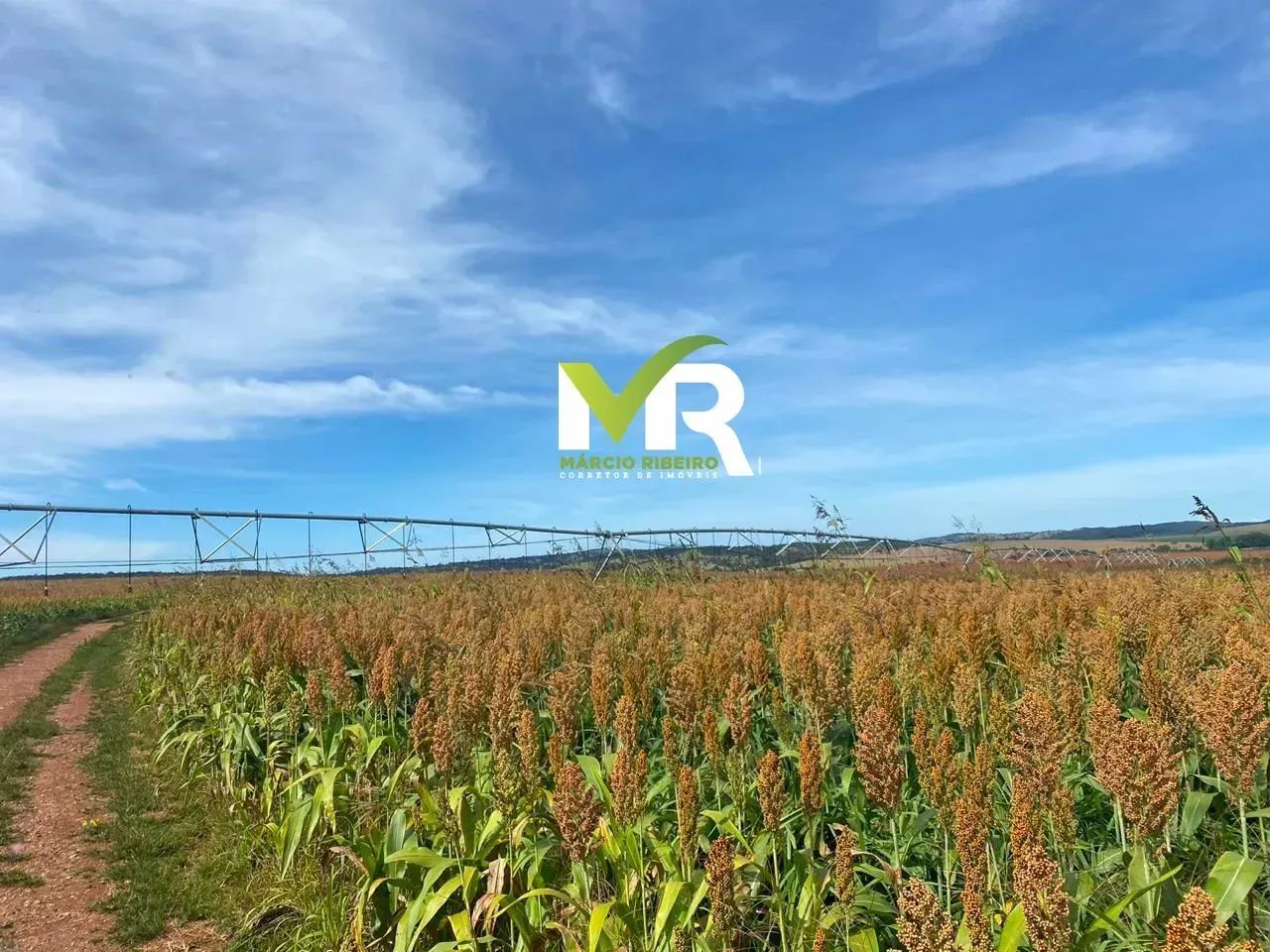 Imóvel para venda com 7960000 metros quadrados com 3 quartos em Zona Rural - Ipameri - GO - Foto 4