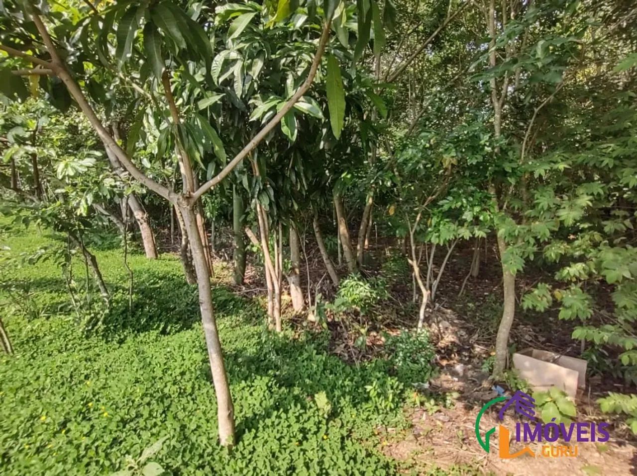 TERRENO - RESIDENCIAL JARDIM PARANÁ - SP - Foto 4