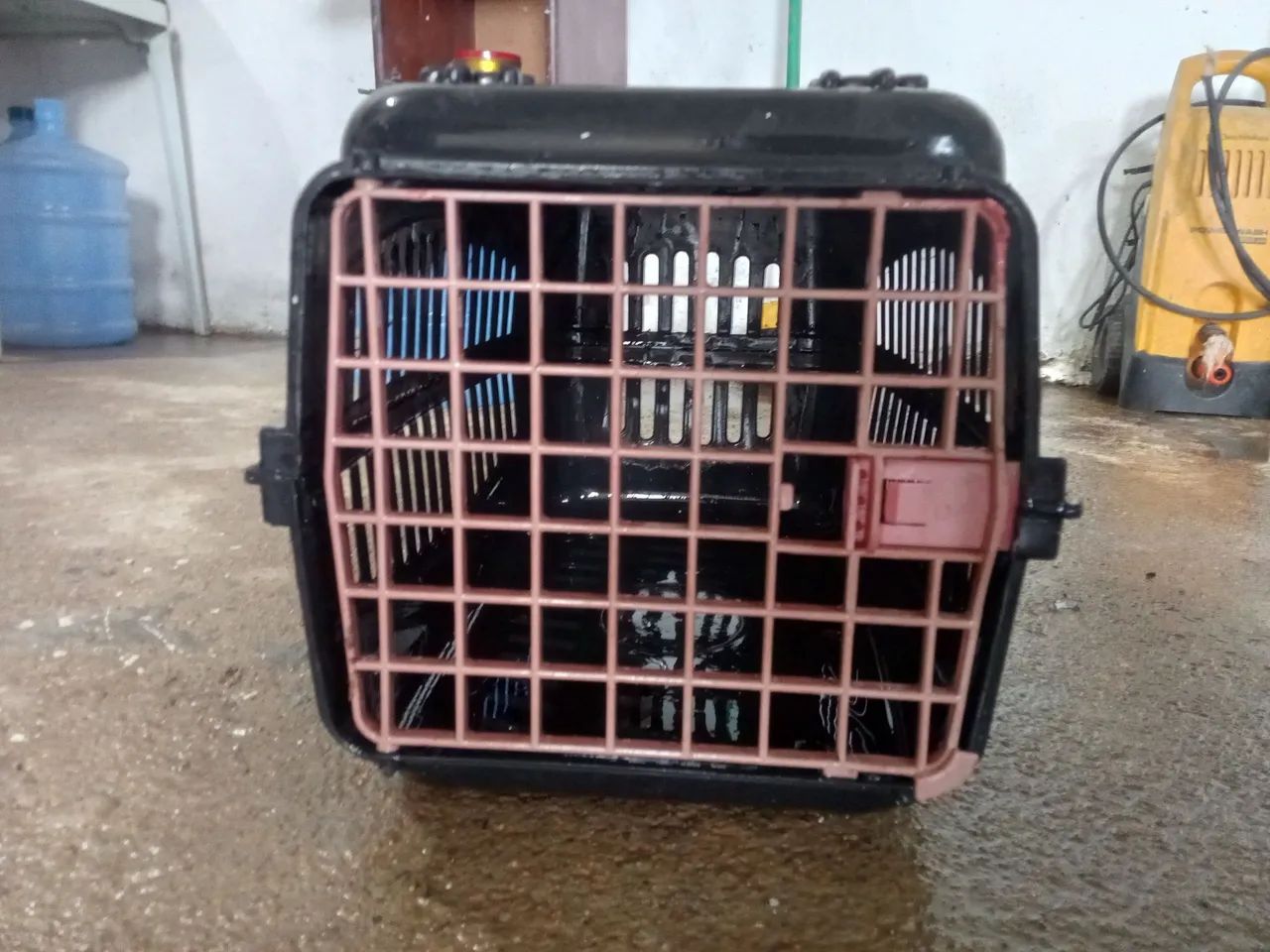 Viajante para pets de pequeno porte 