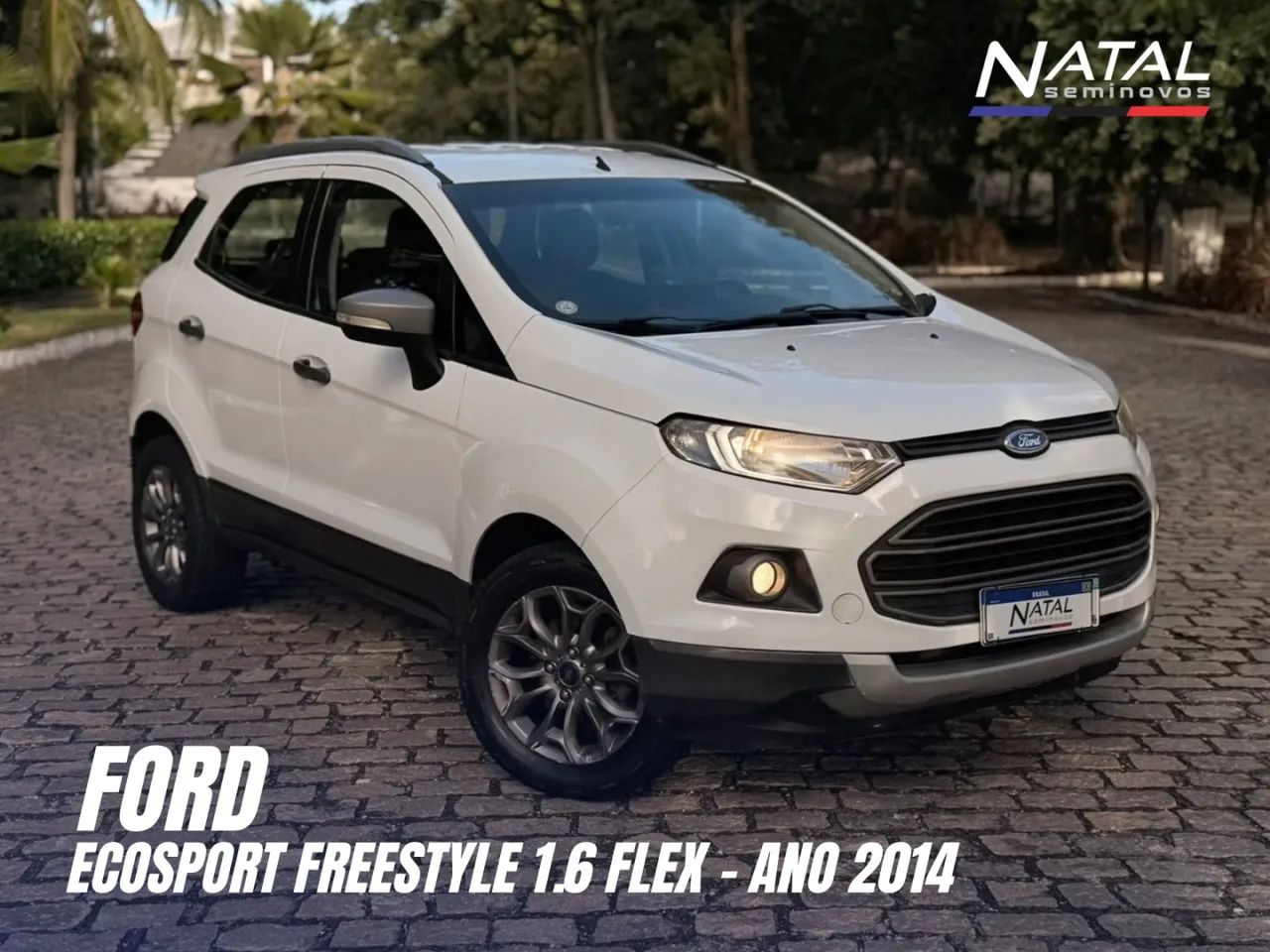 Ford Ecosport EcoSport FREESTYLE 1.6 16V Flex 5p 2014