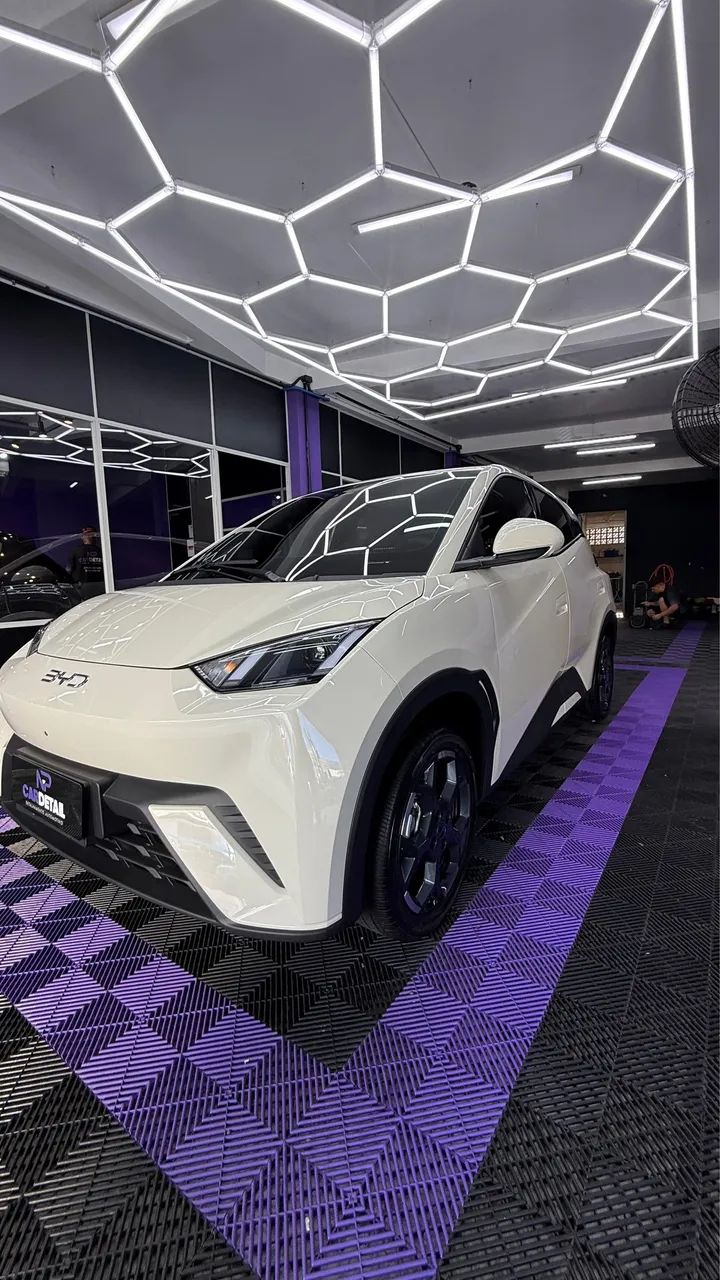 BYD Dolphin Mini (Elétrico) 2027