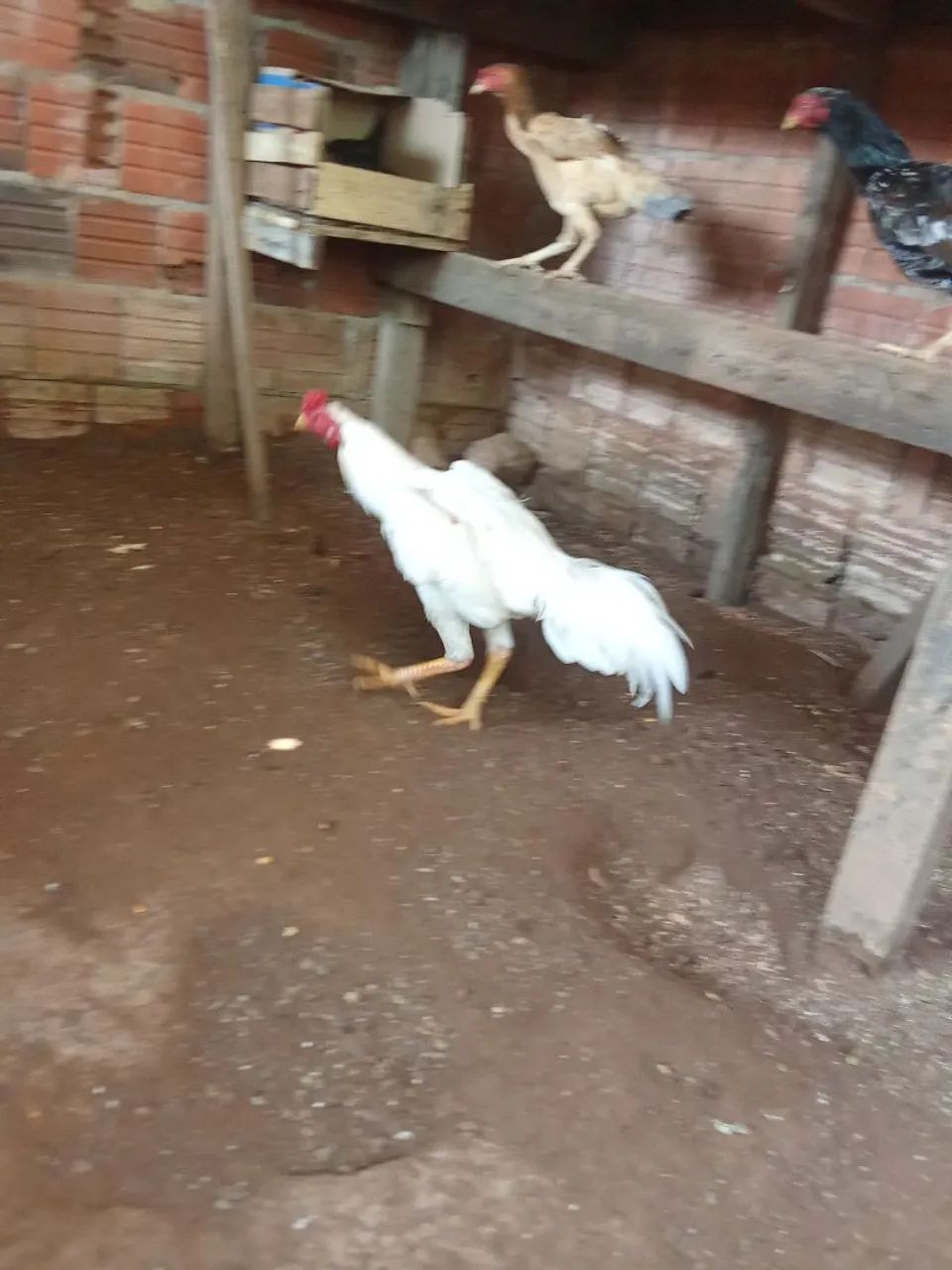 Vendo  - Foto 2